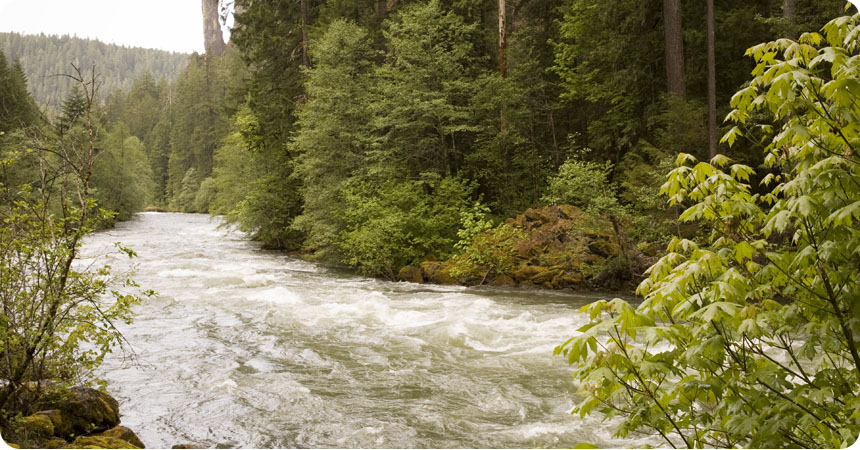 Scenic river with green trees bordering it.