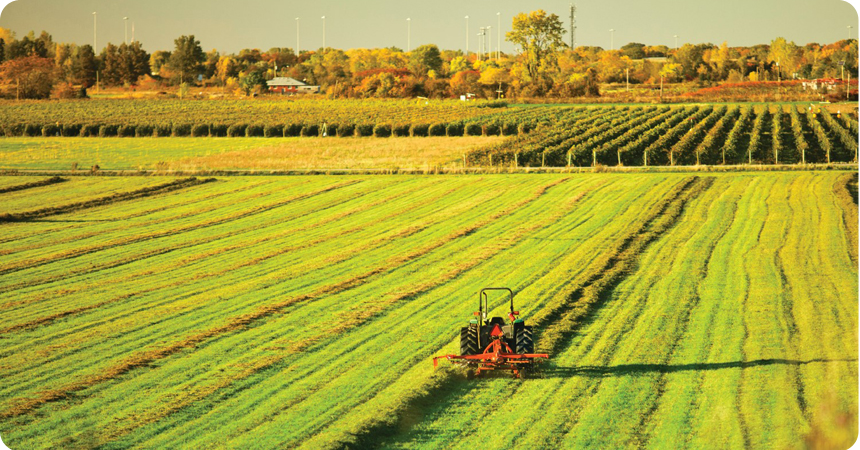 Scenic view of a tractor mowing a field.