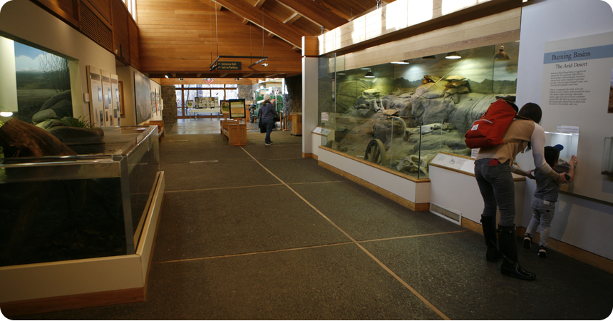 a museum hallway with a few people viewing the exhibit