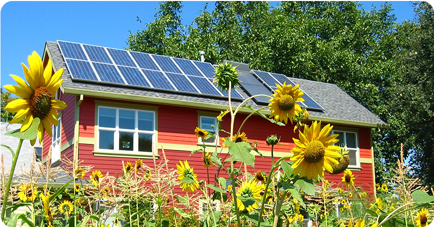 a house with solar on the roof and a beautiful sunflower garden