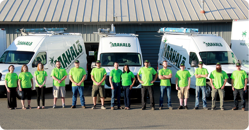 a group of Maholo employees lined up wearing matching shirts