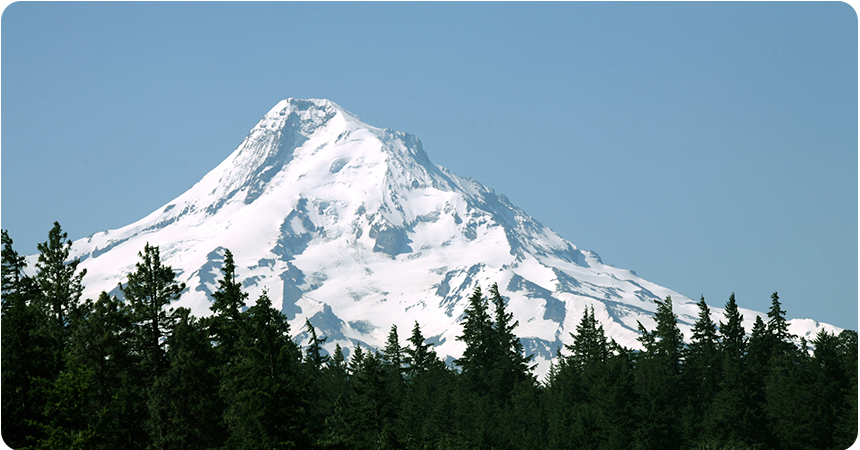 snow covered mountain peak behind a forest