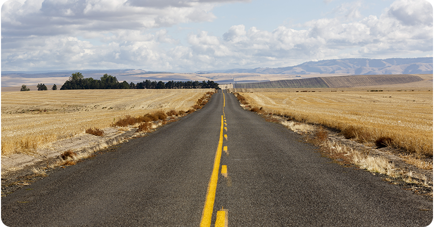 open road in a dry wheat field with mountains in the distance