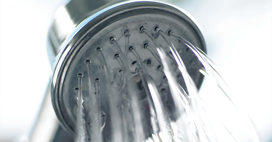 a closeup of a showerhead