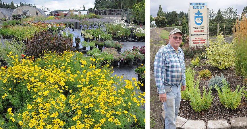 a vibrant garden of yellow, purple and red flowers