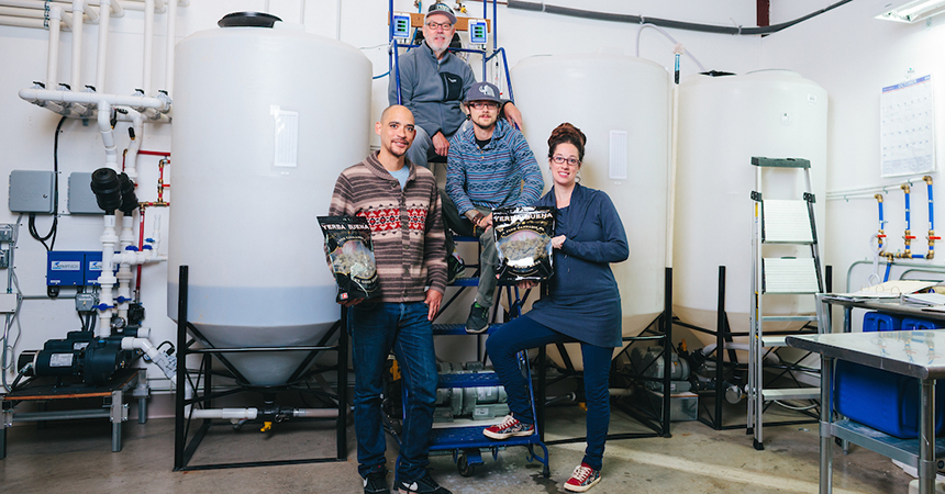 a team of Yerba Buena employees displaying their product in their growing facility