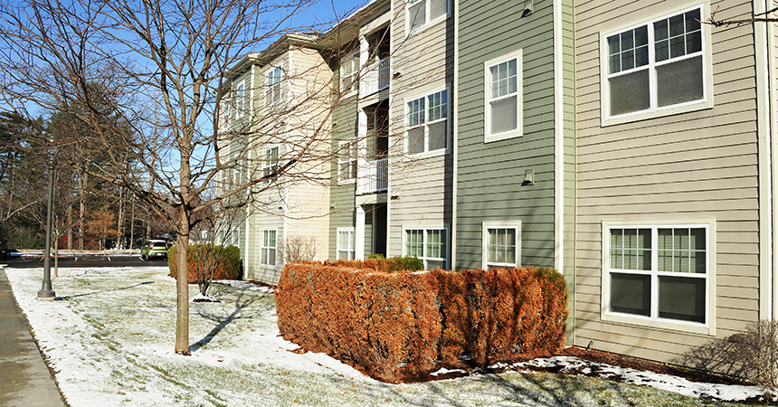 snowy grass outside apartment building on a sunny day