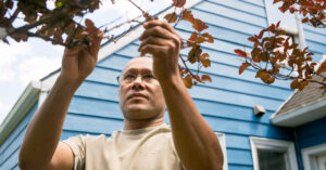 Man trimming trees outside his blue house