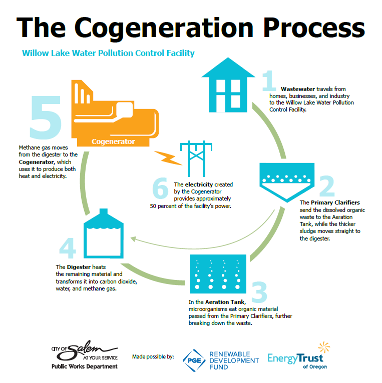 an infographic showing the cogeneration process: 1. wastewater, 2. primary clarifiers, 3. aeration tank, 4. digester, 5. cogenerator, 6. electricity 