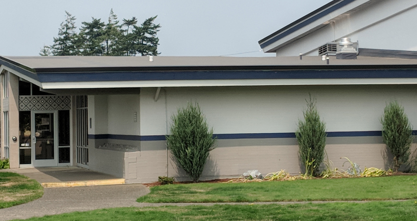 shrubbery growing next to a building