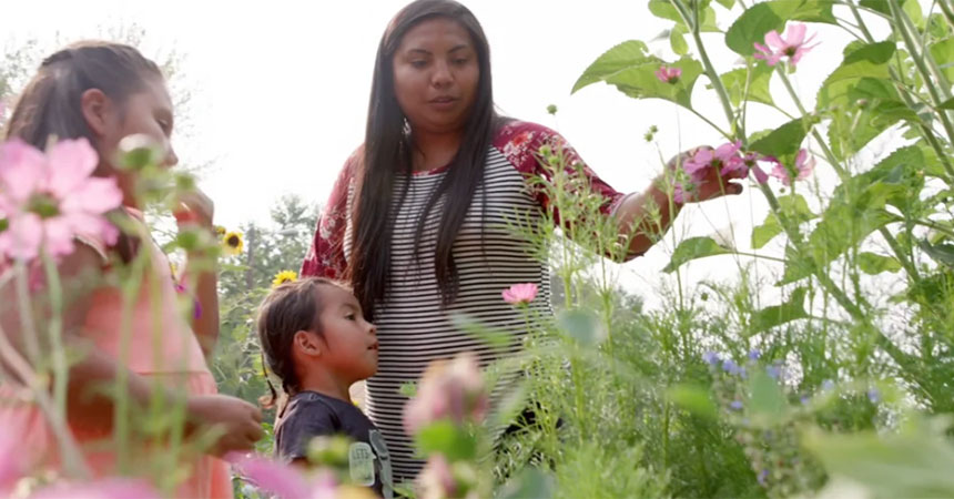 Native American mother and two daughters look at flowers in a field.