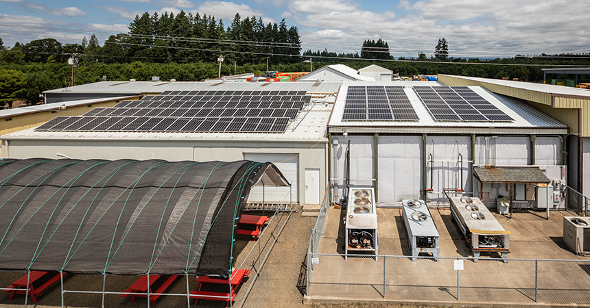 an arial view of the Berry Packing facility with solar panels on the roof