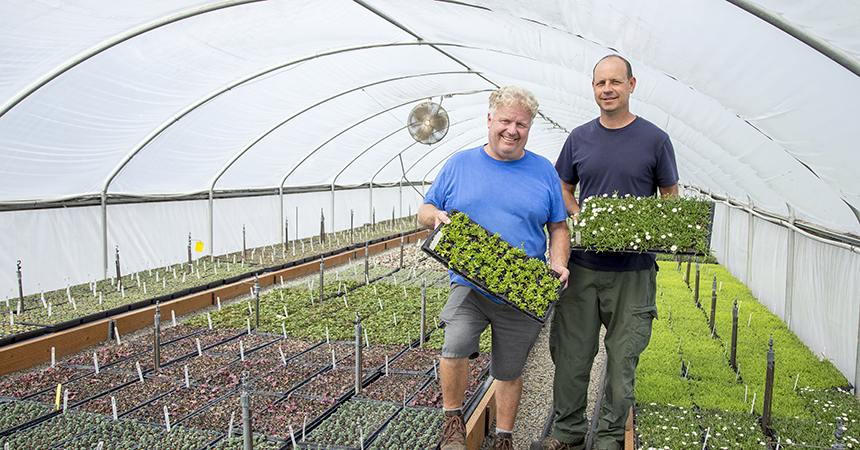 Two men hold flats of plants in Little Prince of Oregon nursery greenhouse.