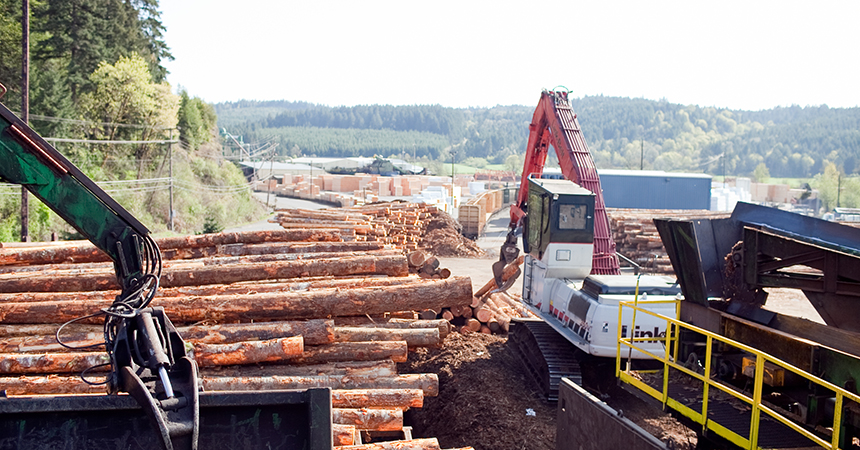 log cranes in a lumberyard