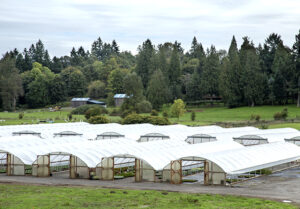 Greenhouses in field