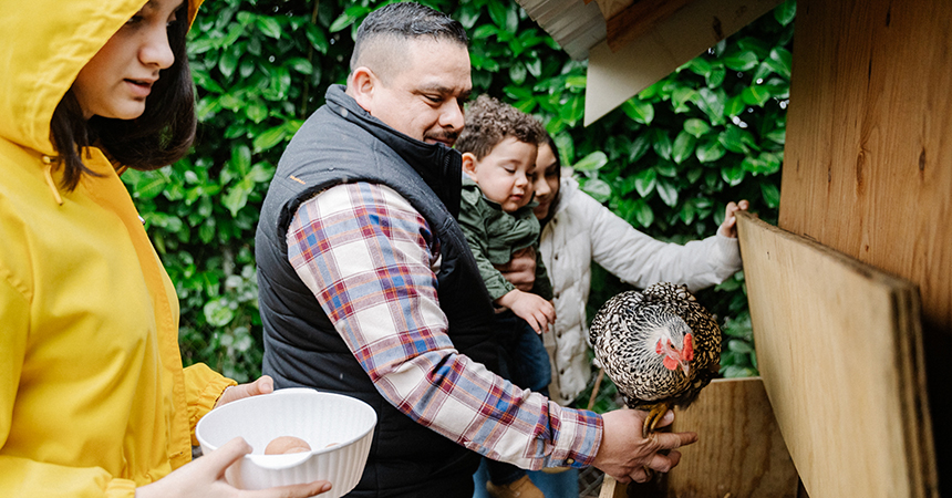 Family at a chicken coop