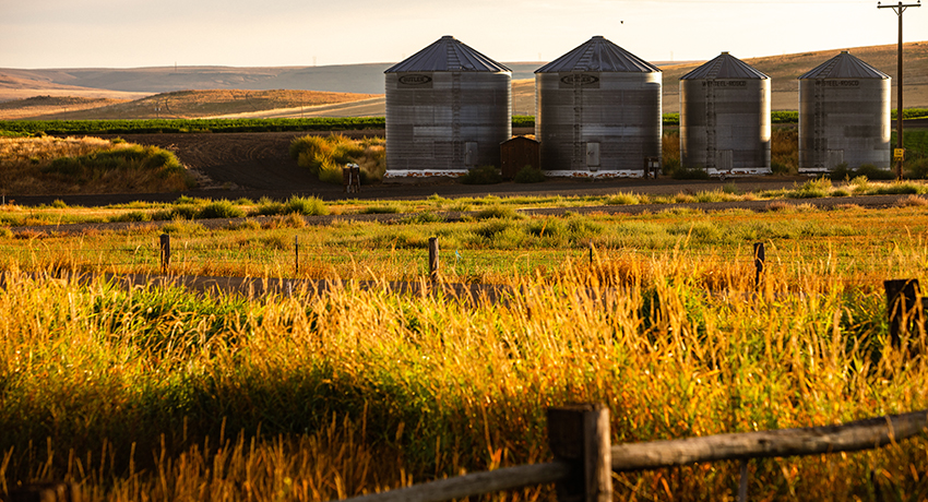 farm land