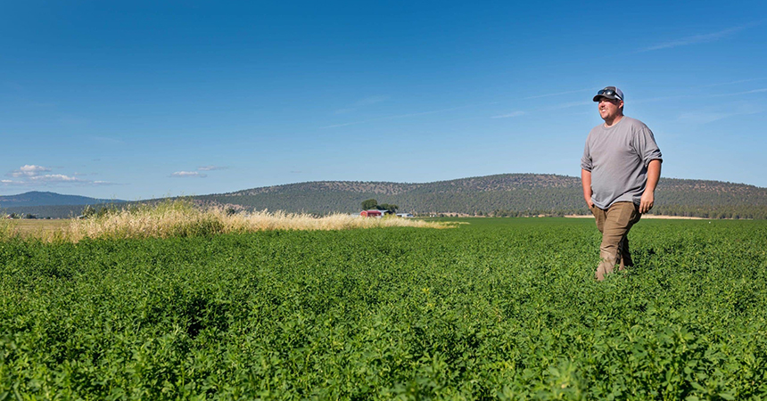 Man looking out in a field