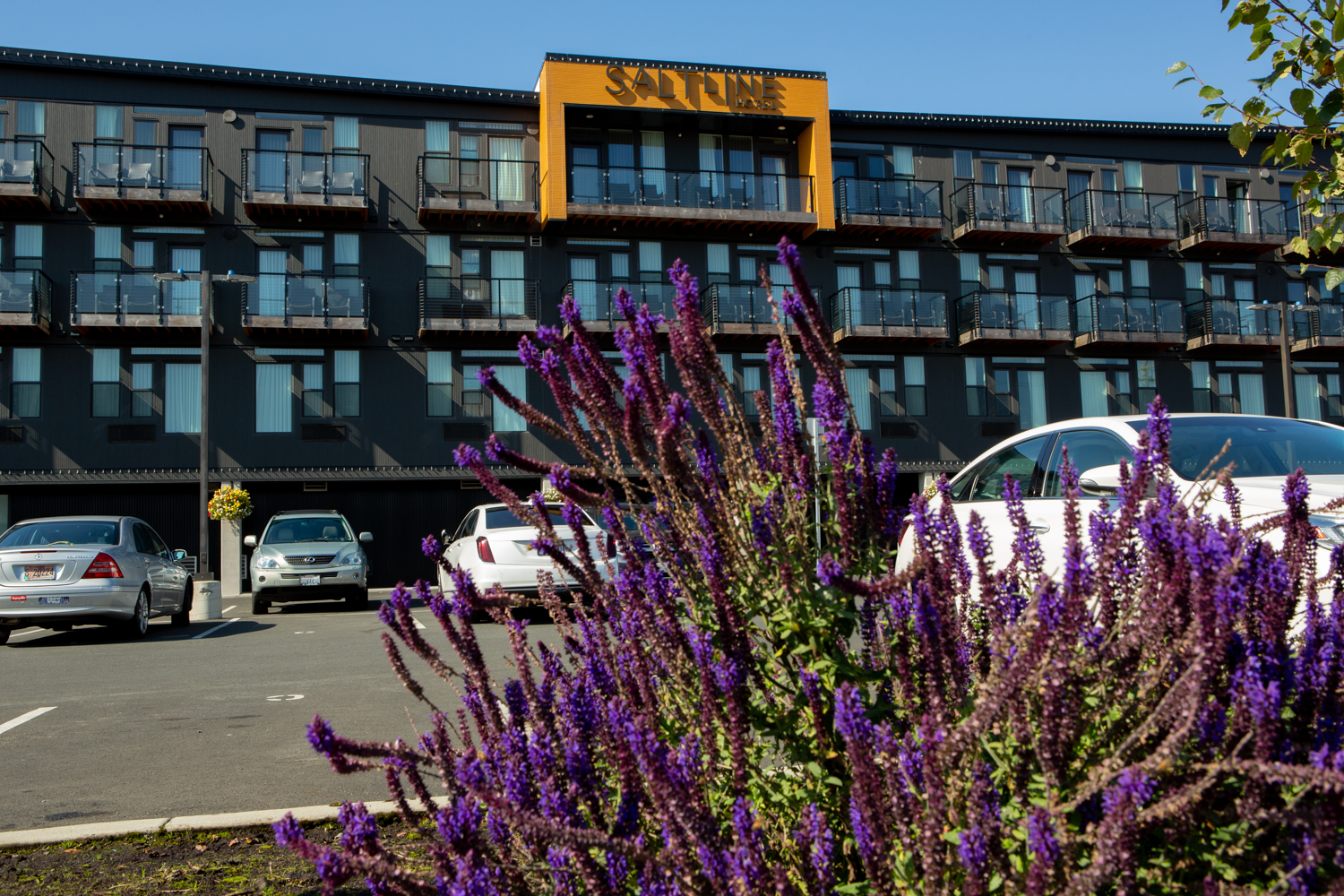 Oregon Coast’s SaltLine Hotel has built in energy efficiency from day one