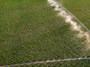 2-threemile-canyon-farmsirrigation-and-field