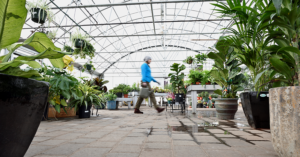 Interior of a large greenhouse
